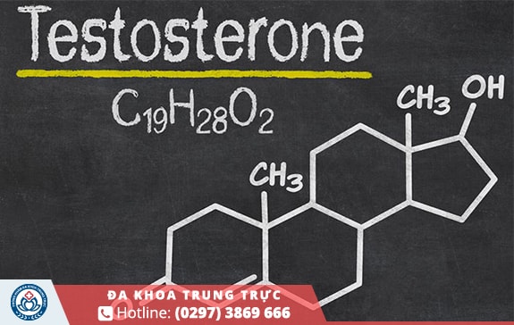 Testosterone đóng vai trò quan trọng đối với sinh lý nam giới
