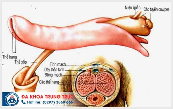 dieu tri xuat tinh som bang phuong phap nao