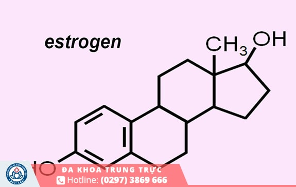 Estrogen là một hormon quan trọng đối với tâm trạng nữ giới